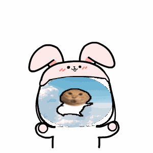 meme rabbit